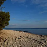 فيلة Romantik فير