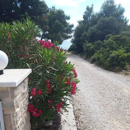 Romantik فير